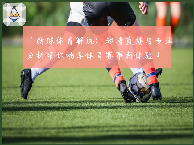 「新球体育解说：超清直播与专业分析带你畅享体育赛事新体验」