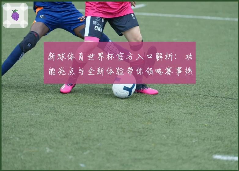 新球体育世界杯官方入口解析：功能亮点与全新体验带你领略赛事热潮