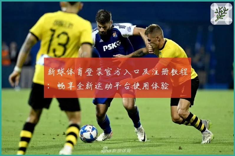 新球体育登录官方入口及注册教程：畅享全新运动平台使用体验