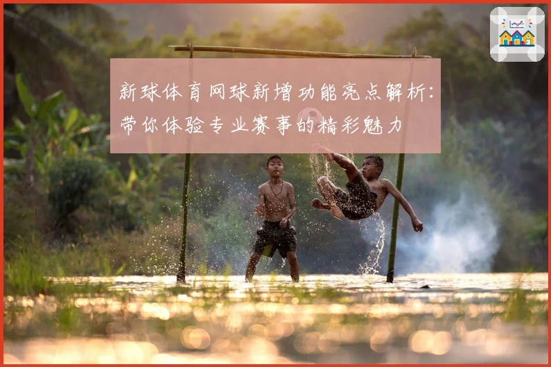 新球体育网球新增功能亮点解析：带你体验专业赛事的精彩魅力