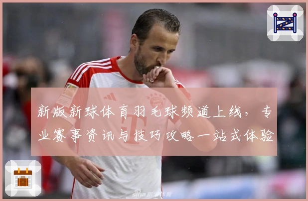 新版新球体育羽毛球频道上线，专业赛事资讯与技巧攻略一站式体验